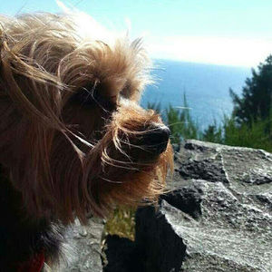 Meet your Posher, Jrbombela